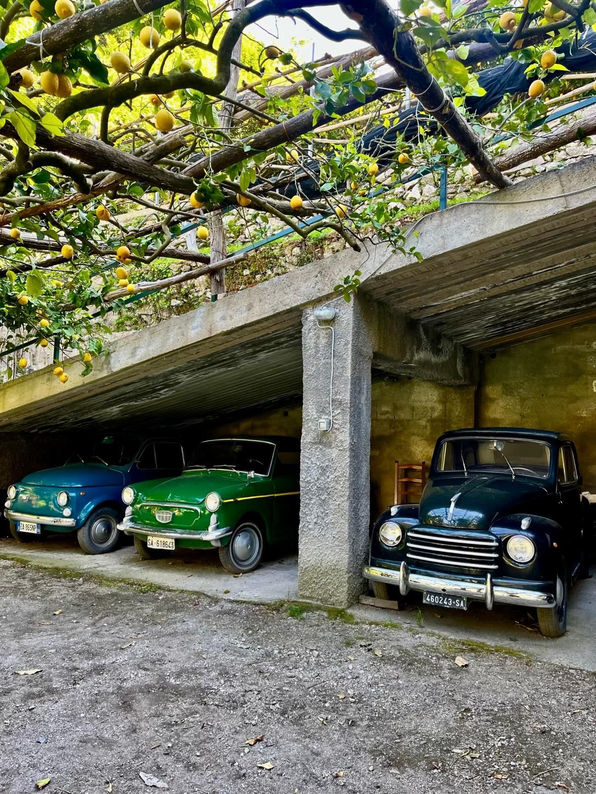 Zabytkowe auta w muzeum w ogrodzie cytrynowym, Amalfi