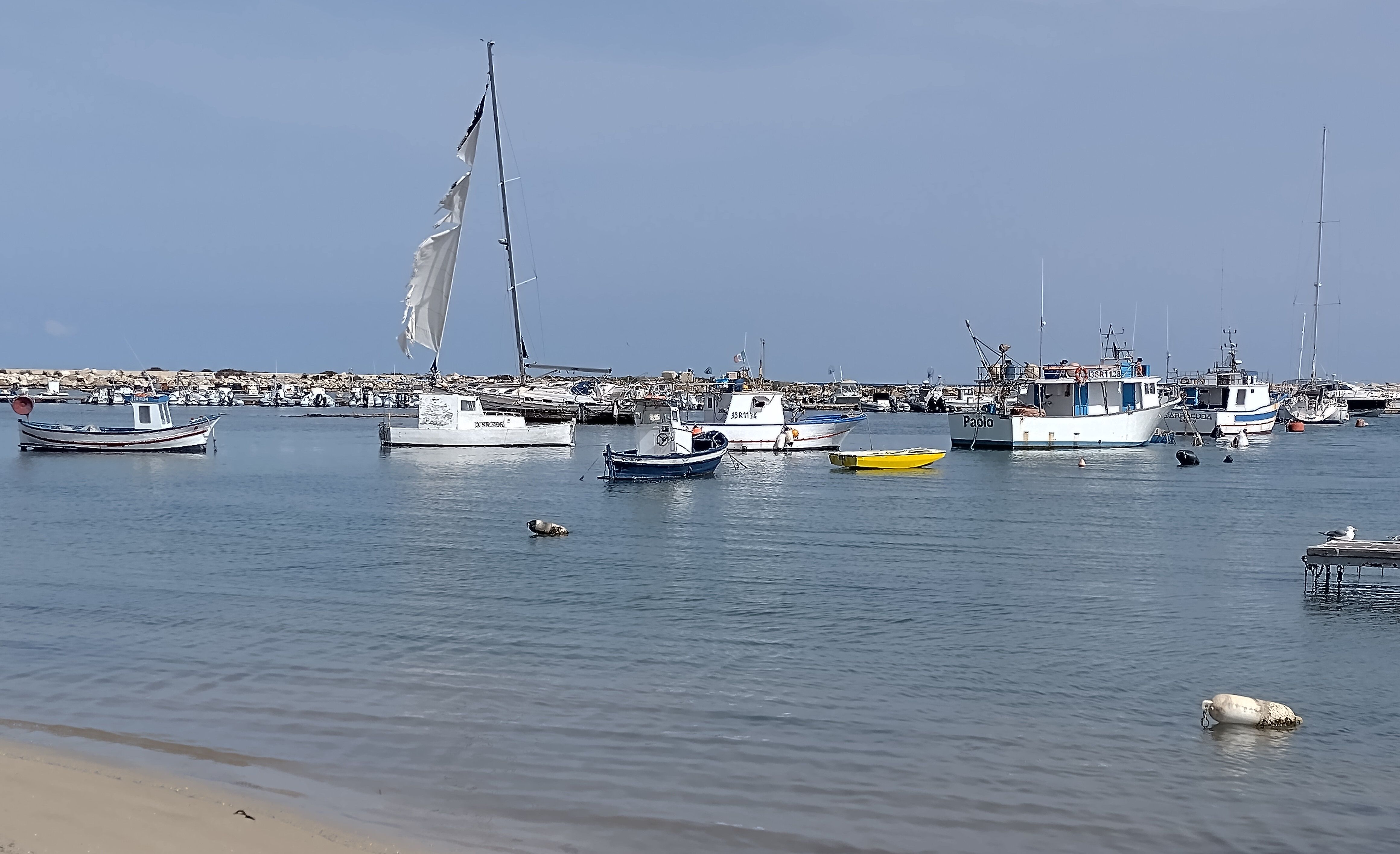 Marina Marzamemi po zimowych sztormach