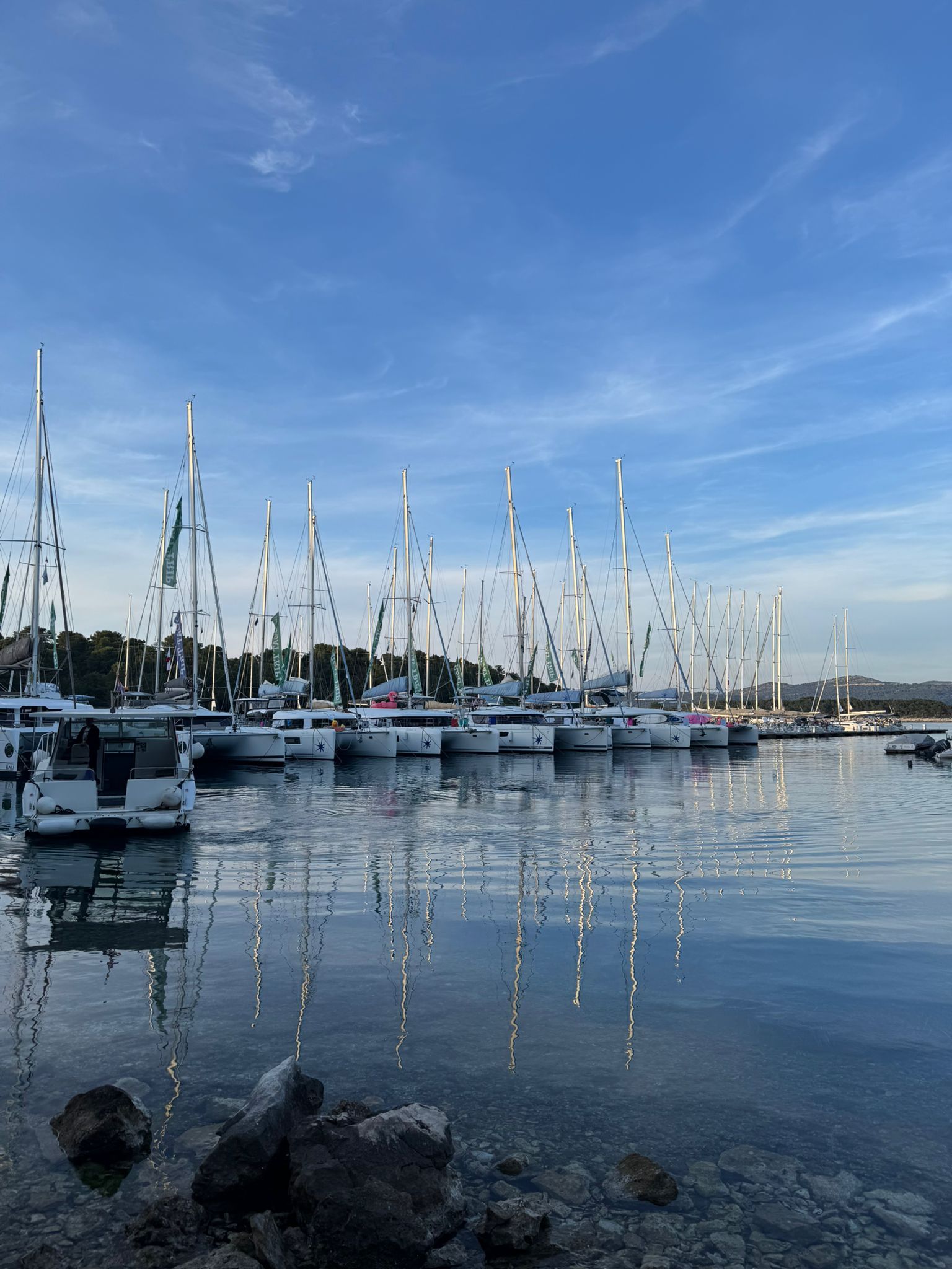 Marina otoczona sosnami i turkusową wodą.